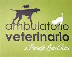 Ambulatorio Veterinario Di Pasetti Dr. Lina Elena, Povegliano Veronese orari di apertura