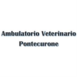 Ambulatorio Veterinario Pontecurone, orari di apertura
