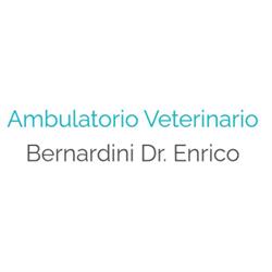 Ambulatorio Veterinario Bernardini Dr. Enrico, Fornacette orari di apertura