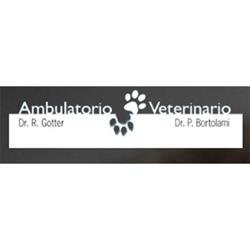 Ambulatorio Veterinario Dr. Gotter e Dr. Bortolami, Campagna Lupia orari di apertura