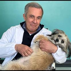 Ambulatorio Veterinario Dr. Alfredo Prim, Vigevano orari di apertura