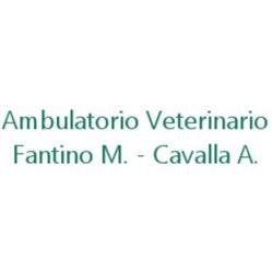 Ambulatorio Veterinario Fantino - Cavalla, Canale orari di apertura