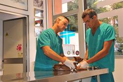 Ambulatorio Veterinario Di Luigi Argenti e Antonio Carrai, Roma orari di apertura