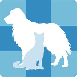 Ambulatorio Veterinario Lazzarini - De Lorenzi - Zattoni, Forlì orari di apertura