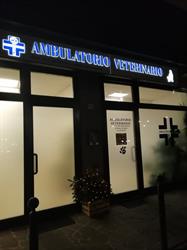 Ambulatorio Veterinario Dott.Ssa Agostino Adele, Spinea orari di apertura