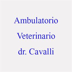 Ambulatorio Veterinario Dr. Cavalli e Associati, Castenedolo orari di apertura