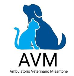 Ambulatorio Veterinario Dr. Misantone Pasquale, Teramo orari di apertura