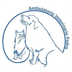 Ambulatorio Veterinario Fedra, Sulmona orari di apertura