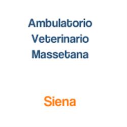 Ambulatorio Veterinario Massetana, Siena orari di apertura