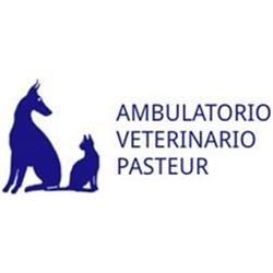 Ambulatorio Veterinario Pasteur, Milano orari di apertura