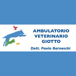 Veterinario Giotto, Arezzo orari di apertura