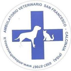 Ambulatorio Veterinario San Francesco, Calcinaia orari di apertura