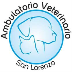 Ambulatorio Veterinario San Lorenzo, Borgo San Lorenzo orari di apertura