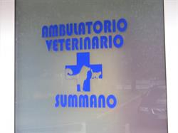Ambulatorio Veterinario Summano Della Dr.ssa Fontanarosa Stefania, Santorso orari di apertura