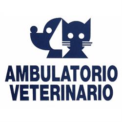 Ambulatorio Veterinario Trivignano, Venezia orari di apertura