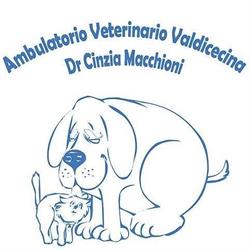 Ambulatorio Veterinario Valdicecina Volterra, Saline - Orari di apertura