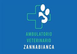 Ambulatorio Veterinario Zanna Bianca - Casa Del Cane, San Giorgio a Cremano orari di apertura