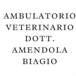 Dott. Amendola Biagio, San Lorenzo di Sebato orari di apertura