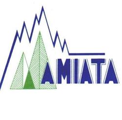 Amiata Immobiliare, Castel del Piano orari di apertura