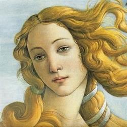 Amici Dei Musei Fiorentini, Firenze orari di apertura