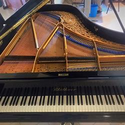 Angelè Pianoforti, Matino orari di apertura
