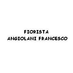 Fiorista Angiolani Francesco, Ancona orari di apertura