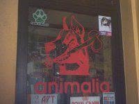 Animalia S.n.c., Dongo orari di apertura