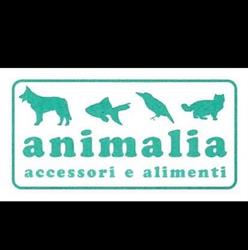 Animalia Di Ardovini Laura e Santini Serena SNC, Firenze orari di apertura