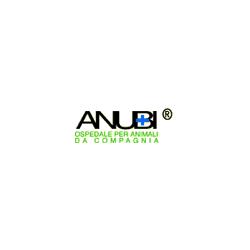 Anubi - Ospedale per Animali da Compagnia - BluVet, Moncalieri orari di apertura
