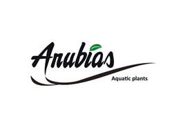 Anubias Azienda Agricola Di Castaldini Maurizio, Castenaso orari di apertura