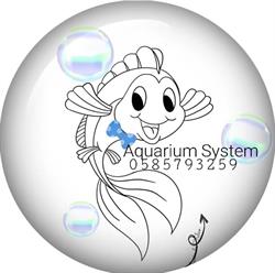 Aquarium Sistem, Massa orari di apertura