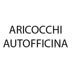 Aricocchi Autofficina, Pieve di Bono-Prezzo orari di apertura