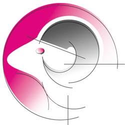 Aries SRL, Rivarolo Canavese orari di apertura