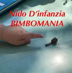 Asilo Nido Bimbomania, Sforzacosta orari di apertura