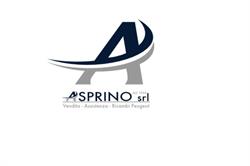 Asprino srl, Praia a Mare orari di apertura