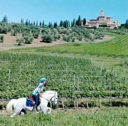 Associazione Equestre Fogliarina, Civitella in Val di Chiana orari di apertura