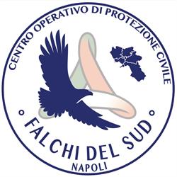 Falchi del Sud - Odv, Napoli orari di apertura