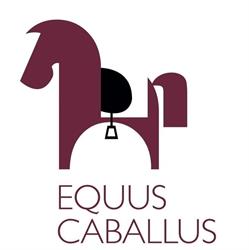 Associazione Mannus Club, Villar Dora orari di apertura