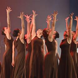 Associazione Nuovo Steps, Torino orari di apertura