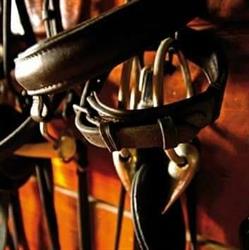 Associazione Sportiva Suno Riding Club, orari di apertura