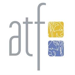 Associazione Teatrale Friulana, Udine orari di apertura