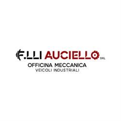 F.lli Auciello Officina Meccanica Veicoli Industriali, Modugno orari di apertura