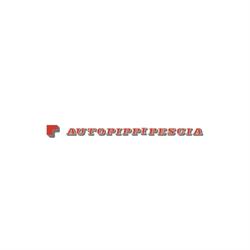 Auto Pippi Pescia SRL, orari di apertura