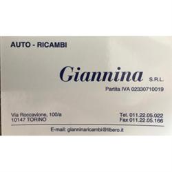 Auto Ricambi Giannina, Torino orari di apertura