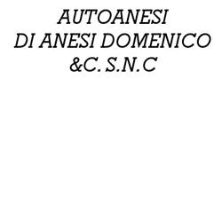 Autoanesi, Baselga di Pinè orari di apertura