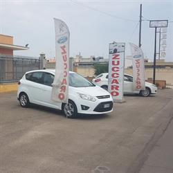 Automobili Zuccaro Cesare, Surbo orari di apertura