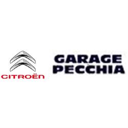 Autofficina Garage Pecchia, Viareggio orari di apertura