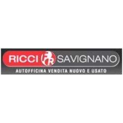 Autofficina Ricci Renzo e Valerio, Savignano sul Rubicone orari di apertura