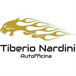 Autofficina Nardini, Marina di Pietrasanta orari di apertura