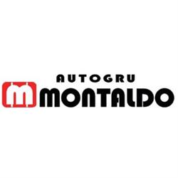 Autogrù Montaldo, Borgo San Dalmazzo orari di apertura
